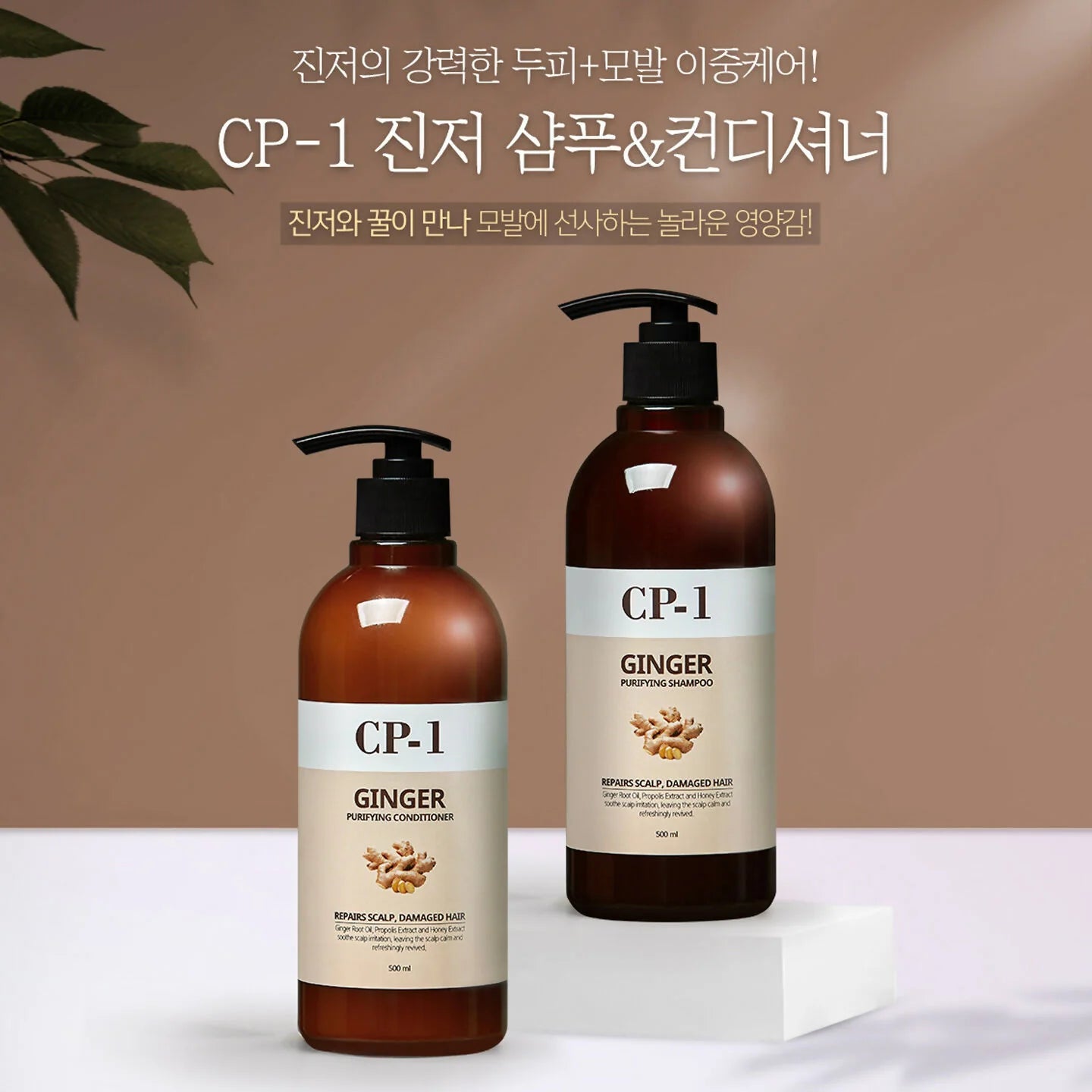 Set de champú y acondicionador de jengibre calmante CP-1 para el cuidado del cabello